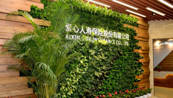 九洲国际健康集团第三次增资爱心人寿获批，新“国十条”助力医疗和保险深度融合